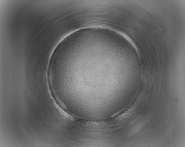 X0000075890951200609291702