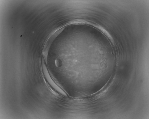 X0000075890953200609291702