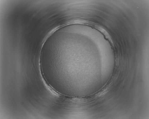 X0000075890954200609291702