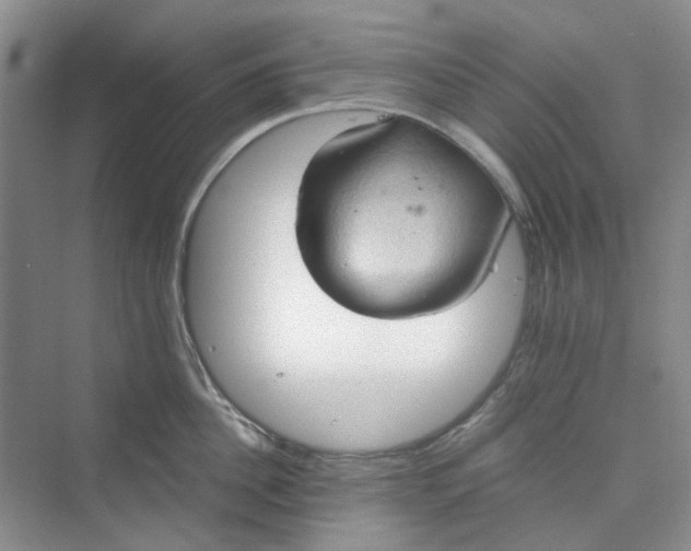 X0000075890956200609291702