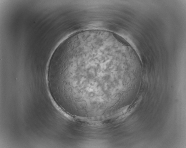 X0000075890957200609291702