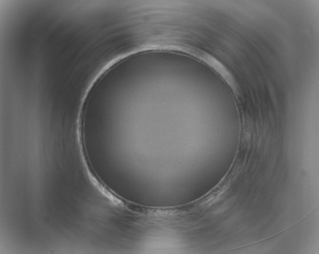 X0000075890958200609291702