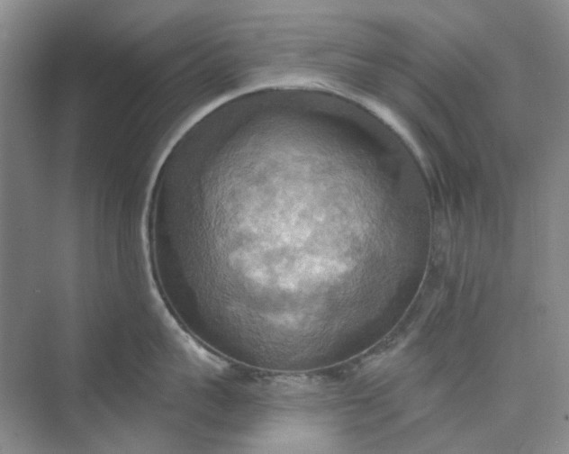 X0000075890959200609291702