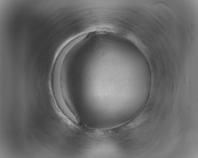 X0000075890960200609291702