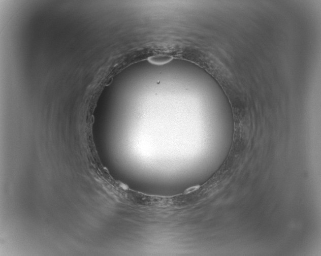 X0000075890961200609291702