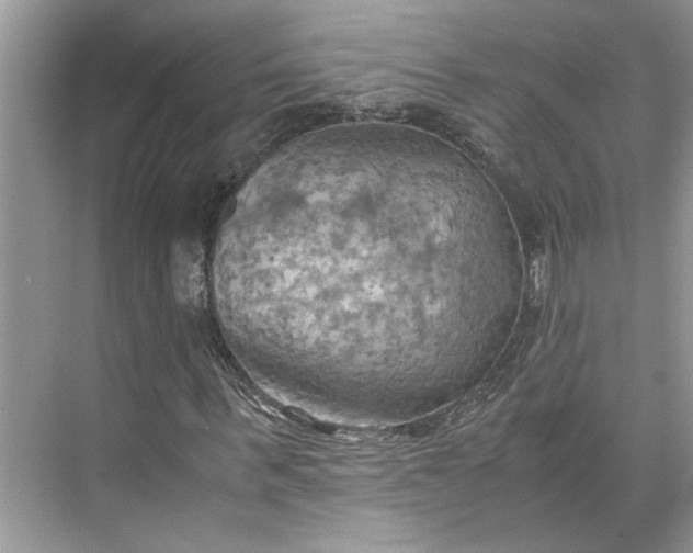 X0000075890963200609291701