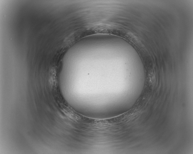 X0000075890964200609291701