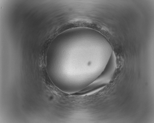 X0000075890965200609291701