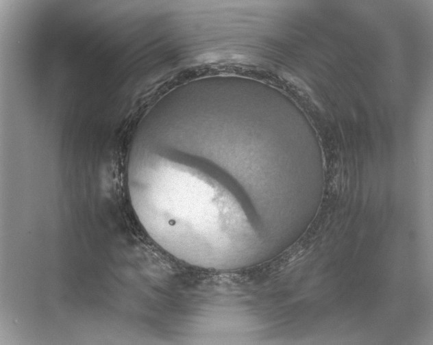 X0000075890966200609291701