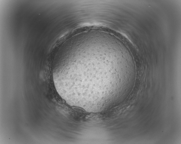 X0000075890967200609291701