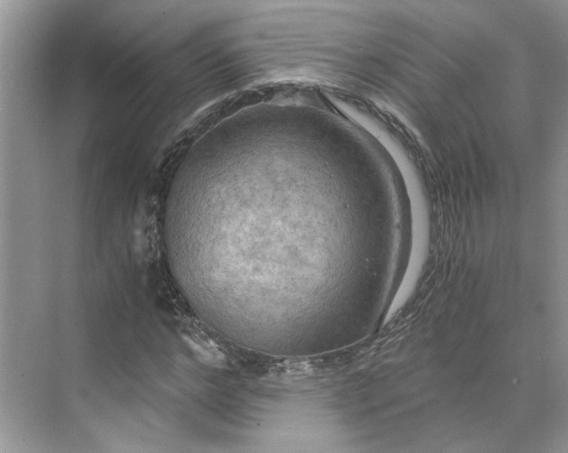 X0000075890968200609291701