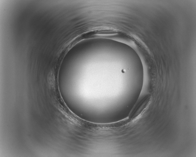 X0000075890969200609291701