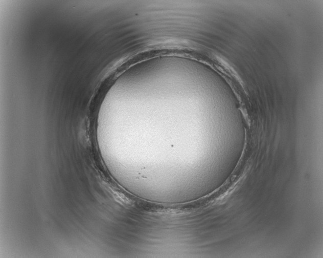 X0000075890970200609291701