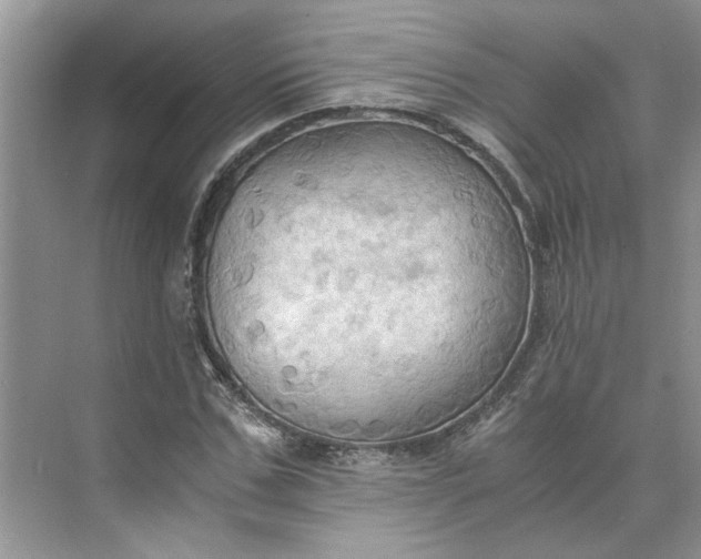 X0000075890971200609291701