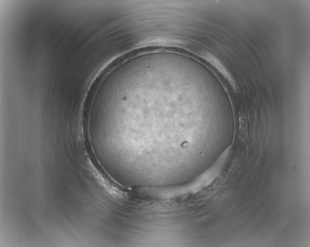 X0000075890972200609291701