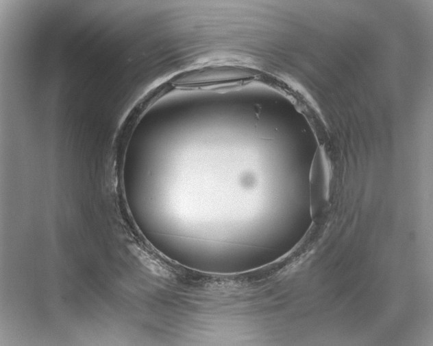 X0000075890973200609291701