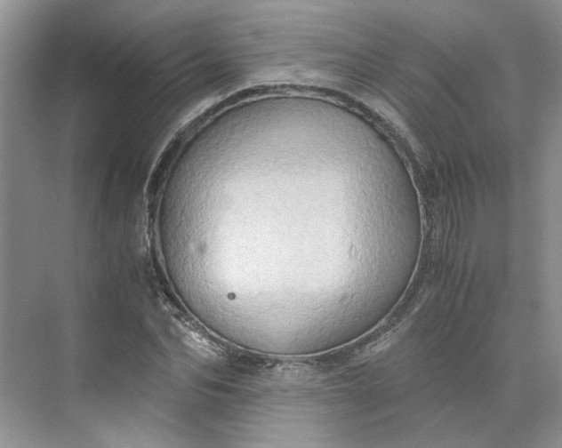 X0000075890974200609291701