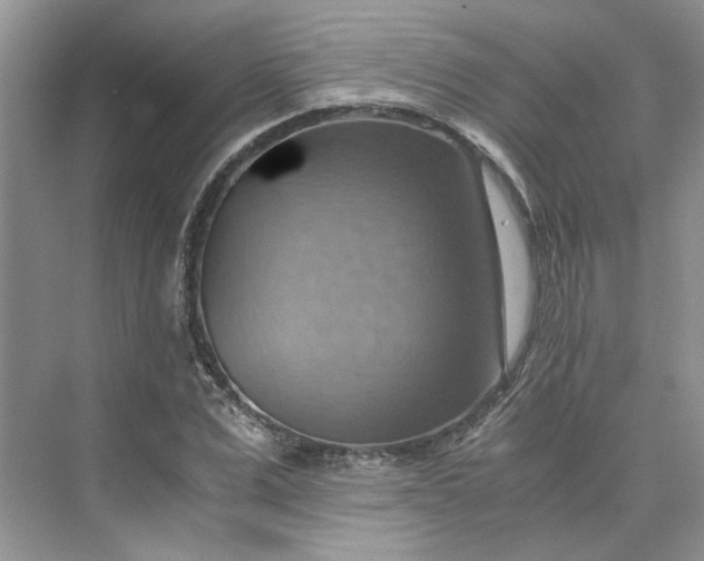 X0000075890975200609291701