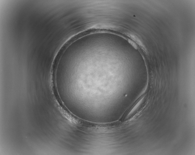 X0000075890976200609291701