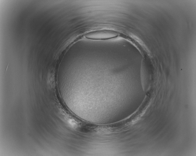 X0000075890977200609291701