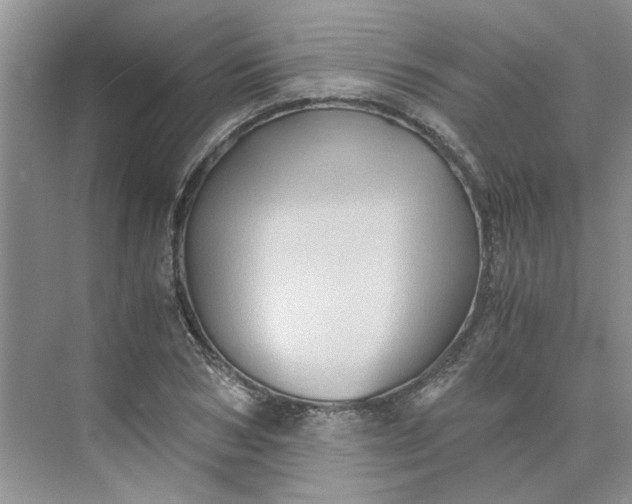 X0000075890978200609291701