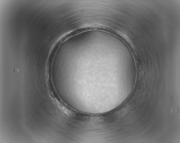 X0000075890979200609291701