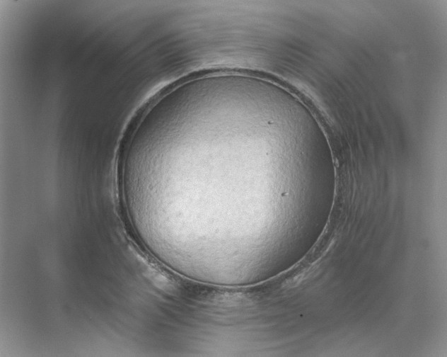 X0000075890982200609291701