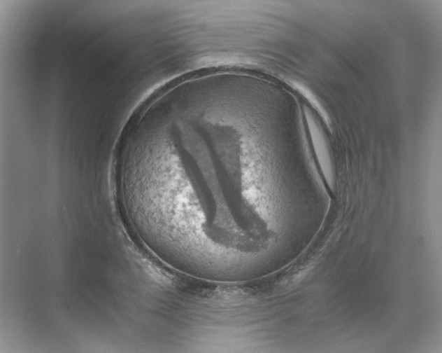 X0000075890983200609291701