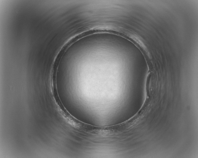 X0000075890984200609291701