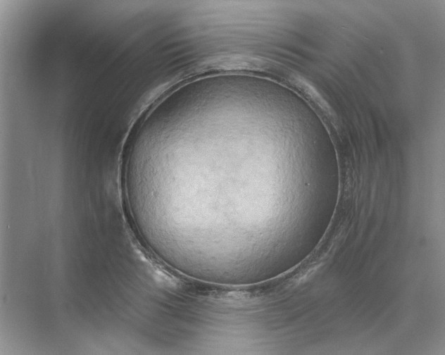 X0000075890986200609291701