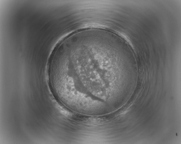 X0000075890987200609291701