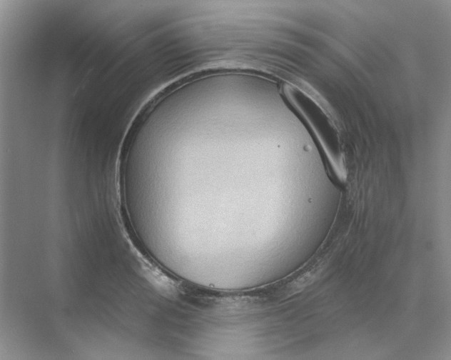 X0000075890988200609291701