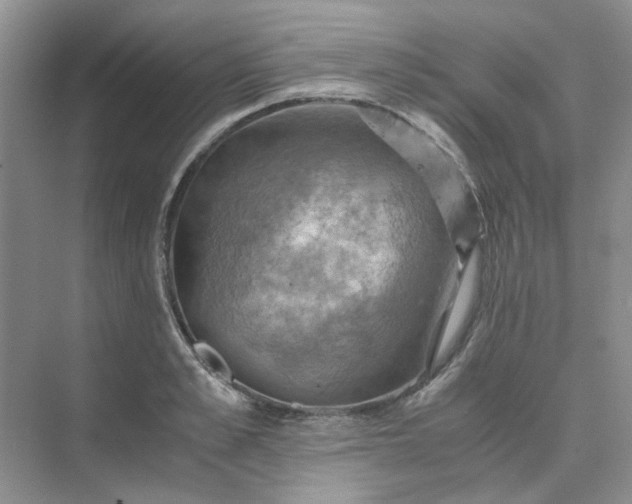 X0000075890989200609291701