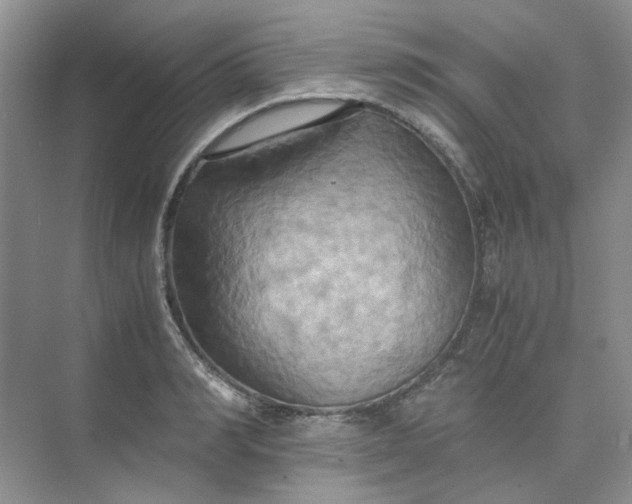 X0000075890990200609291701