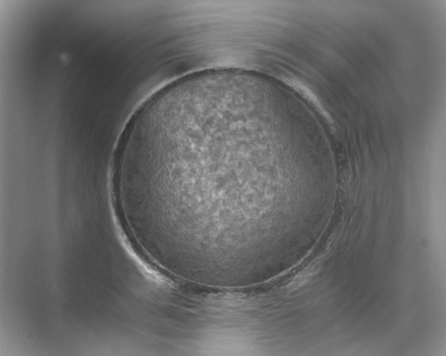 X0000075890991200609291701