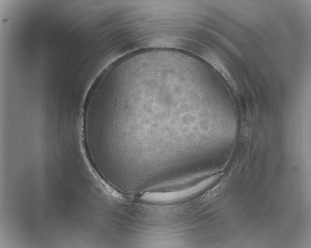 X0000075890992200609291701