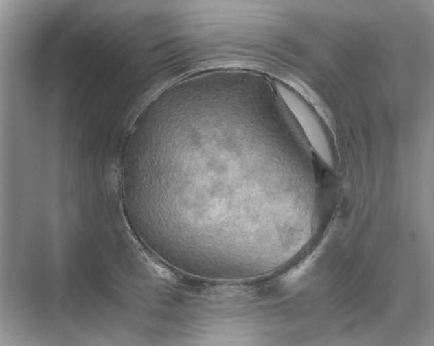 X0000075890993200609291701