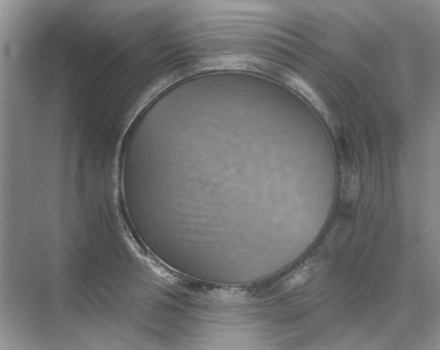 X0000075890994200609291701