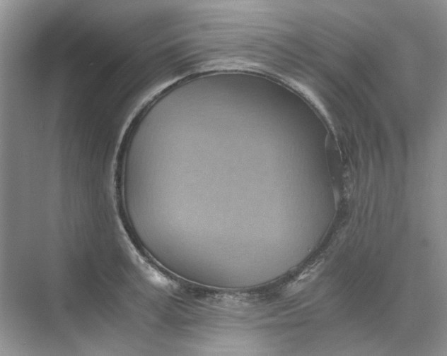 X0000075890995200609291701