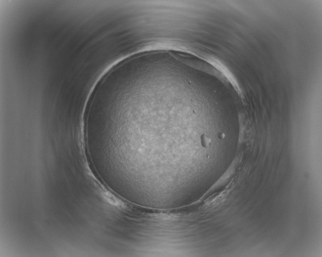 X0000075890996200609291701