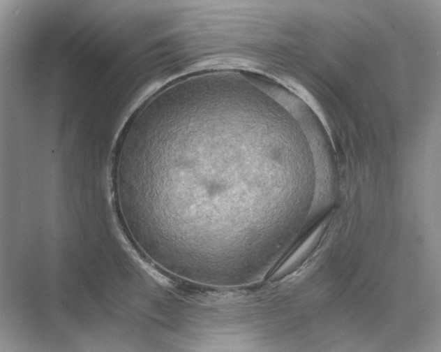 X0000075890997200609291701