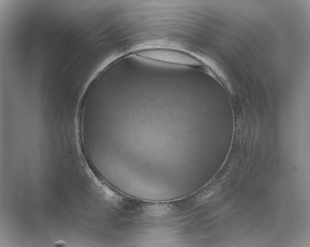 X0000075890998200609291701