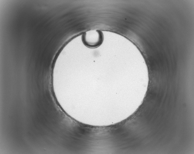 X0000075891000200609291701