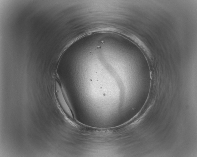 X0000075891001200609291701