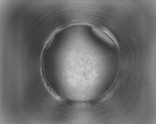 X0000075891002200609291701