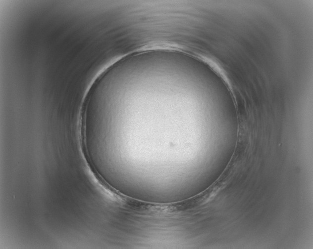 X0000075891003200609291701