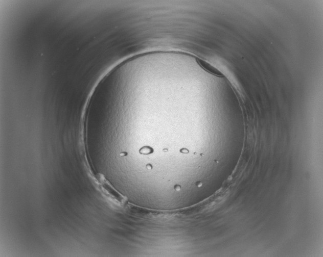 X0000075891004200609291701