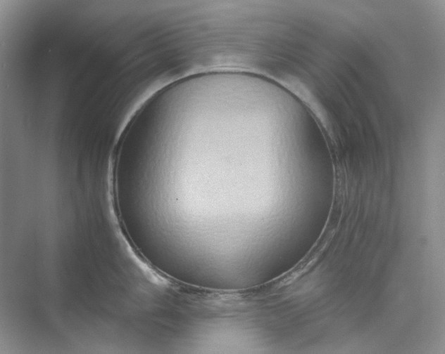 X0000075891006200609291701