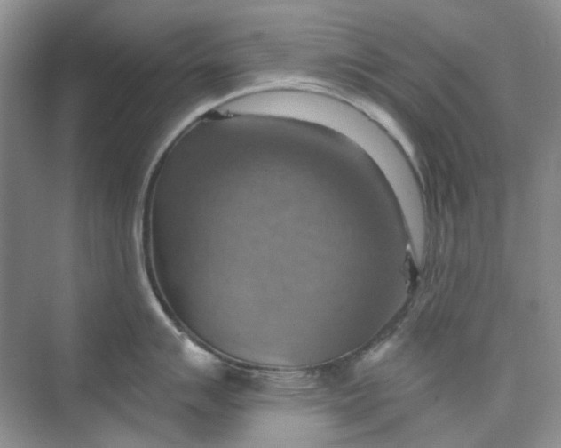 X0000075891007200609291701