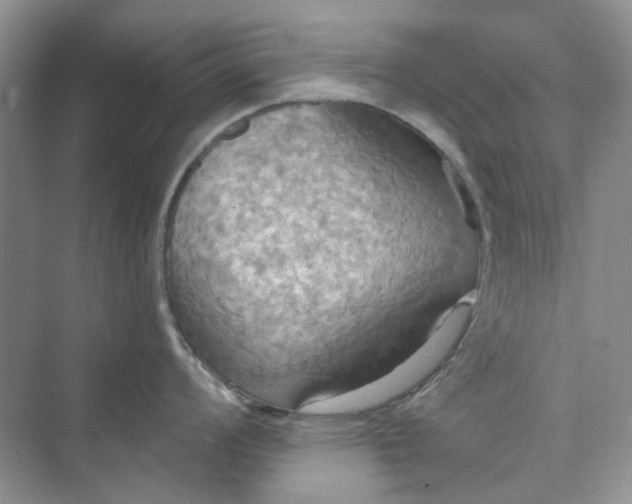 X0000075891008200609291701